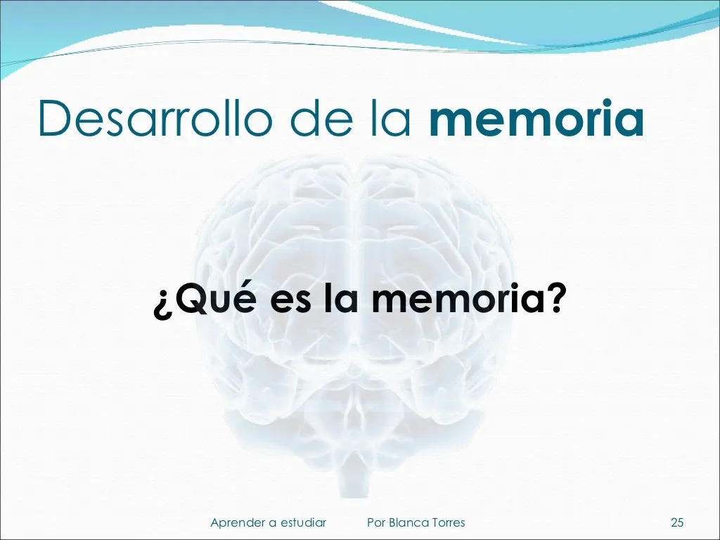 Desarrollo de la memoria. ¿Qué es la memoria? La pregunta está escrita sobre el dibujo de un cerebro.